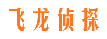 石泉市婚外情调查